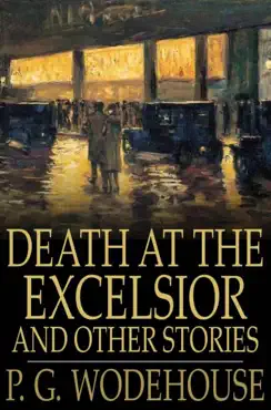 death at the excelsior book cover image