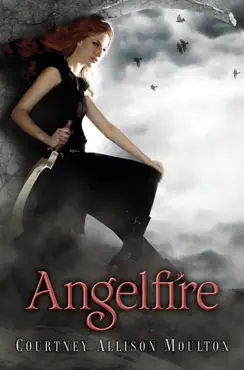 angelfire book cover image