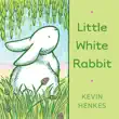 Little White Rabbit synopsis, comments