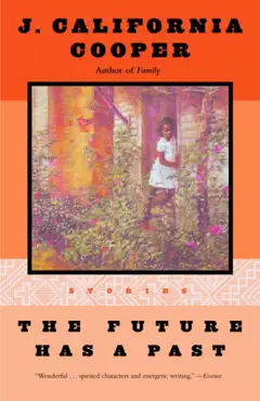the future has a past book cover image