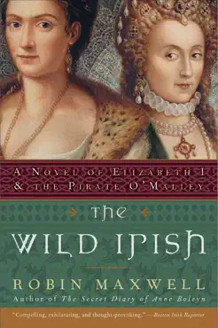 the wild irish book cover image