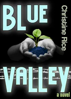 blue valley book cover image