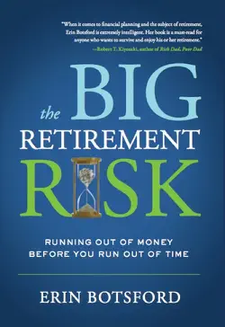 the big retirement risk book cover image