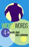 Wicked Words 4 synopsis, comments