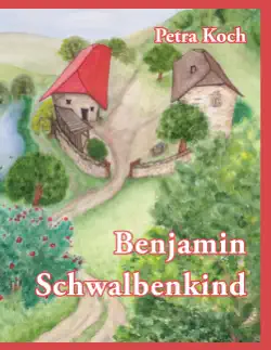 benjamin schwalbenkind book cover image