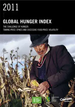 2011 global hunger index book cover image