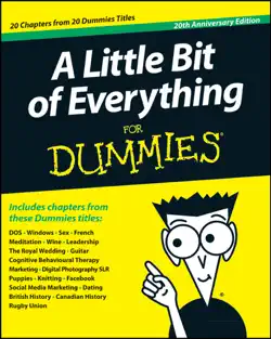 a little bit of everything for dummies book cover image