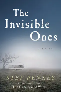 the invisible ones book cover image