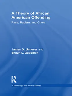 a theory of african american offending imagen de la portada del libro