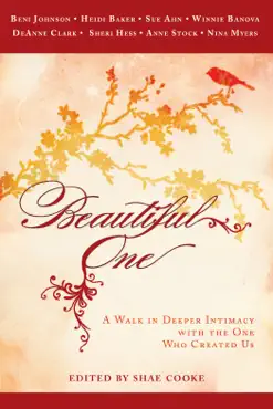 beautiful one book cover image