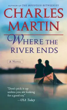 where the river ends book cover image