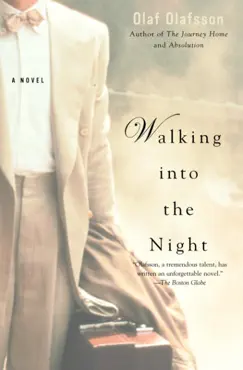 walking into the night book cover image