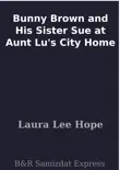 Bunny Brown and His Sister Sue at Aunt Lu's City Home sinopsis y comentarios