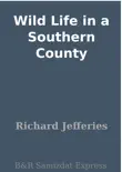 Wild Life in a Southern County synopsis, comments
