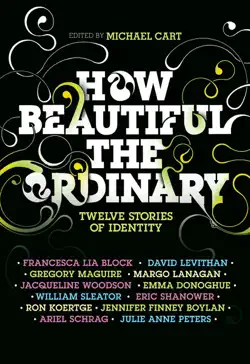 how beautiful the ordinary book cover image