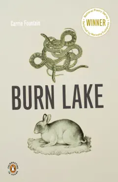burn lake book cover image