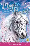 Magic Ponies: Seaside Summer sinopsis y comentarios