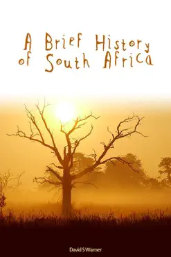 a brief history of south africa book cover image