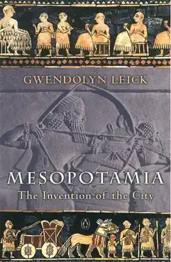 mesopotamia book cover image
