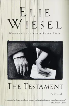 the testament book cover image