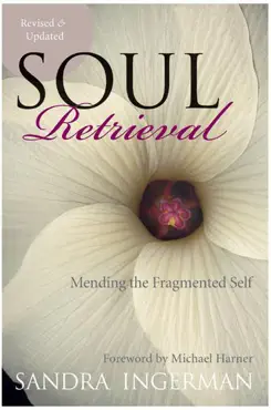 soul retrieval book cover image