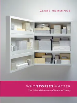 why stories matter book cover image