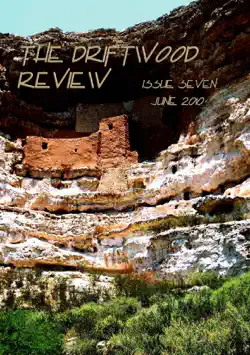 the driftwood review book cover image