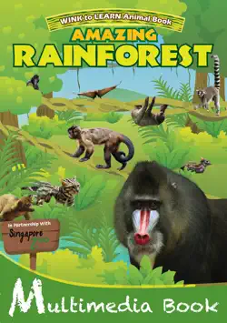 amazing rainforest book cover image