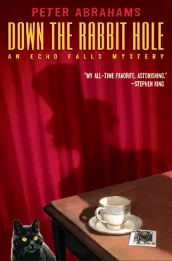 down the rabbit hole book cover image