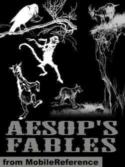 aesop's fables - illustrated book cover image