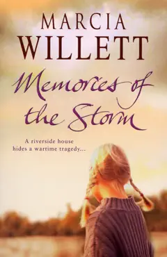 memories of the storm book cover image