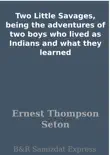 Two Little Savages, being the adventures of two boys who lived as Indians and what they learned synopsis, comments