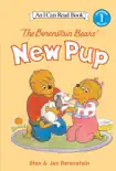 The Berenstain Bears' New Pup book summary, reviews and download