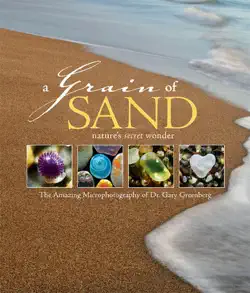 a grain of sand book cover image