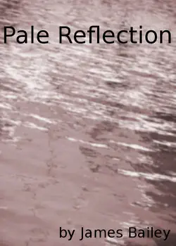 pale reflection book cover image