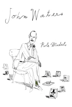role models book cover image