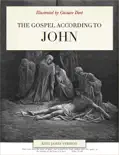 The Illustrated Gospel of John reviews