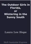 The Outdoor Girls in Florida, or Wintering in the Sunny South sinopsis y comentarios