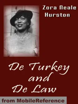 de turkey and de law book cover image