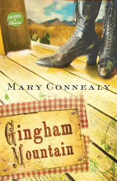 gingham mountain book cover image