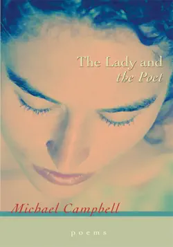 the lady and the poet book cover image