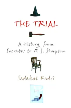 the trial book cover image