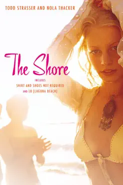the shore book cover image