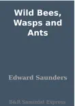 Wild Bees, Wasps and Ants synopsis, comments