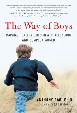 the way of boys book cover image