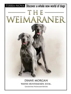 the weimaraner book cover image