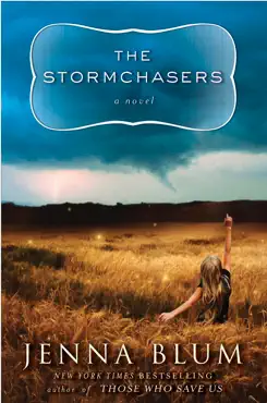 the stormchasers book cover image