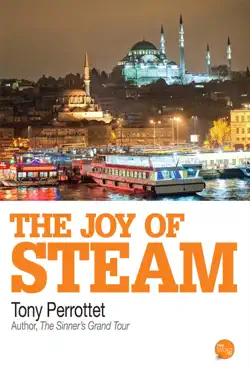 the joy of steam book cover image