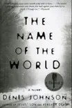 The Name of the World synopsis, comments