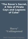 The Rover's Secret, A Tale of Pirate Cays and Lagoons of Cuba sinopsis y comentarios